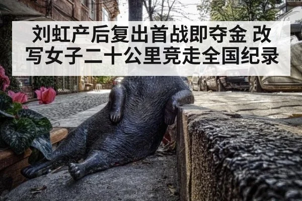 刘虹产后复出首战即夺金 改写女子二十公里竞走全国纪录